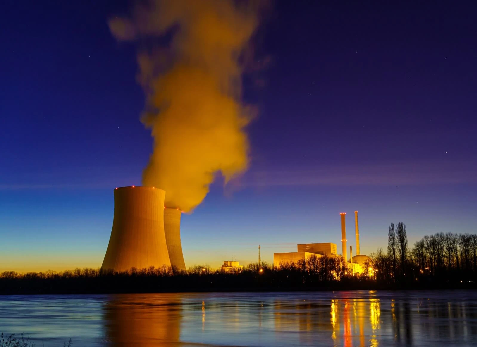 Ist Atomkraft vegan?