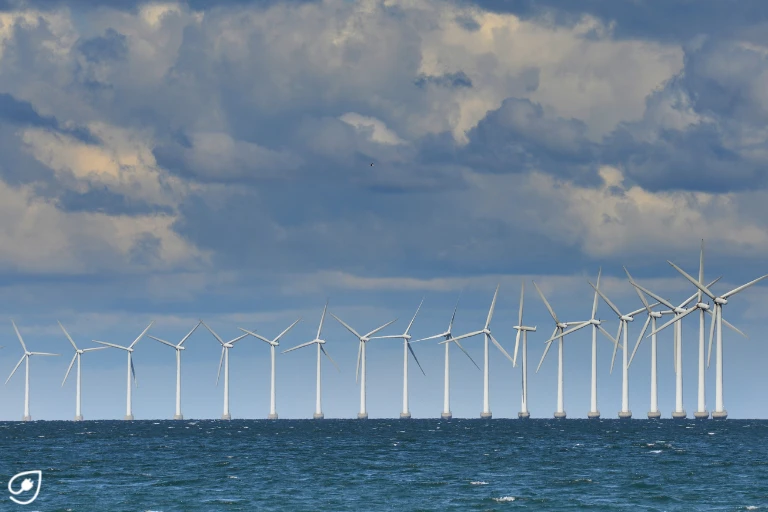 Alles rund um offshore windkraft